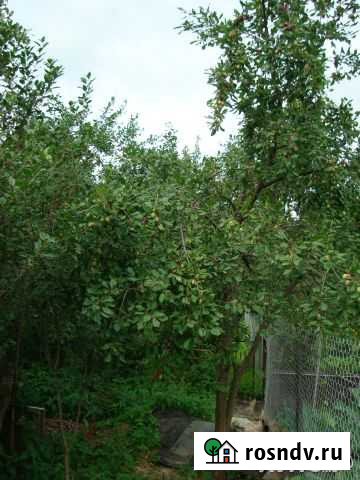 Дача 20 м² на участке 7.5 сот. на продажу в Линде Линда - изображение 1