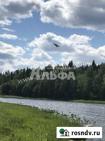 Участок СНТ, ДНП 1410 сот. на продажу в Губахе Губаха - изображение 1