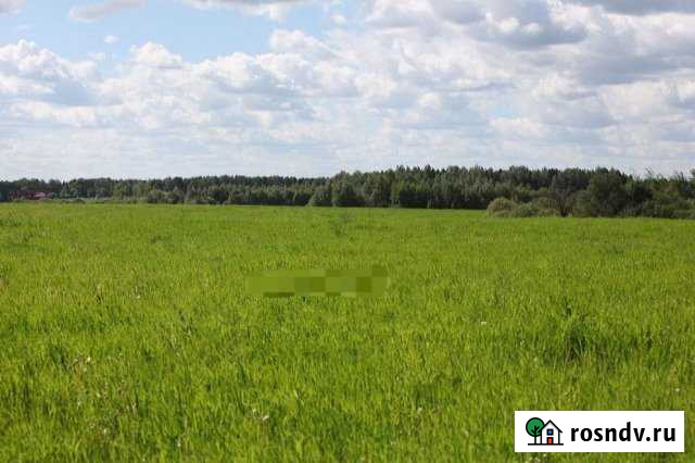 Участок СНТ, ДНП 4250 сот. на продажу в Орлове Орлов - изображение 1