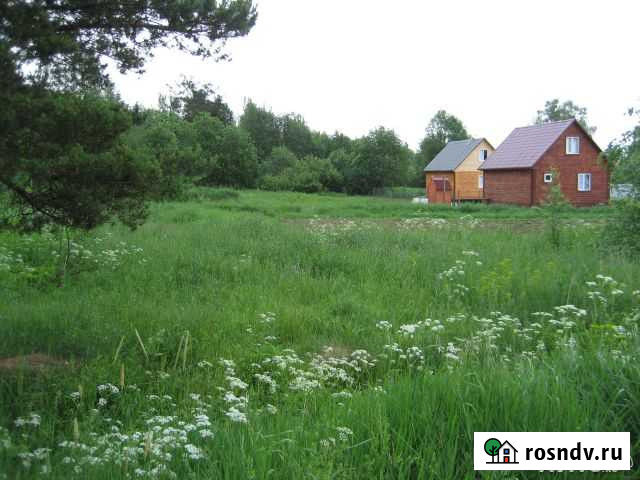 Участок ИЖС 25 сот. на продажу в Первомайском Ленинградской области Первомайское - изображение 1