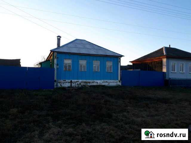 Дом 48 м² на участке 30 сот. на продажу в Репьевке Репьевка - изображение 1