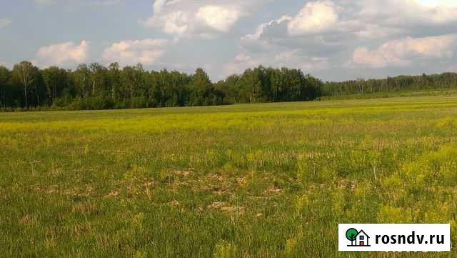 Участок СНТ, ДНП 210 сот. на продажу в Малоярославце Малоярославец - изображение 1