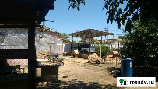 Дом 50 м² на участке 6 сот. на продажу в Ильинке Ильинка - изображение 1