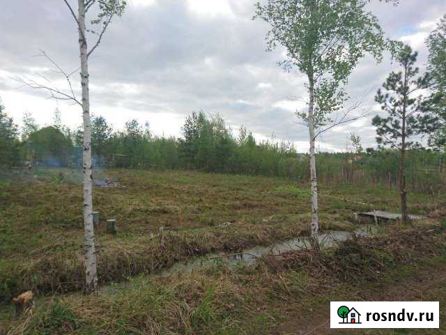 Участок СНТ, ДНП 10 сот. на продажу в Ликино-Дулево Ликино-Дулево - изображение 1