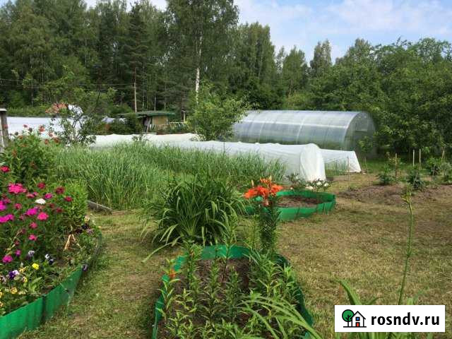 Участок СНТ, ДНП 12 сот. на продажу в Мге Мга - изображение 1