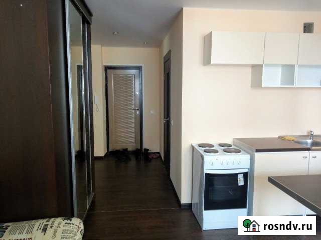 Квартира-студия, 24 м², 12/19 эт. в аренду на длительный срок в Воронеже Воронеж - изображение 1