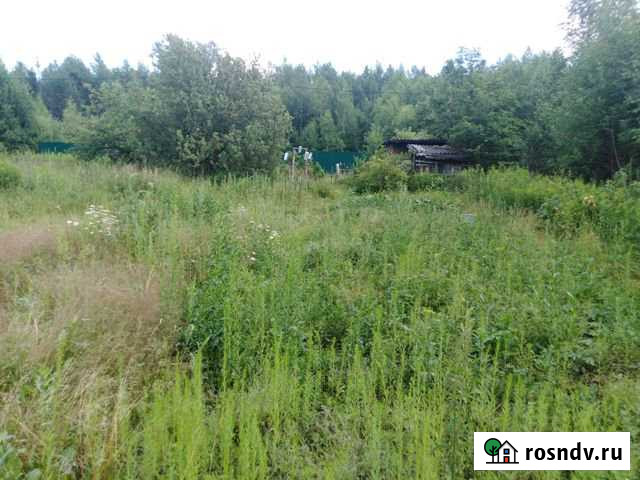 Участок ИЖС 6 сот. на продажу в Карабаново Карабаново - изображение 1