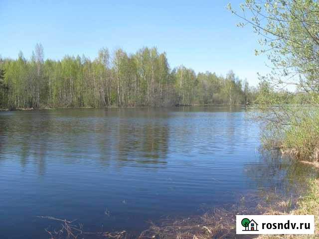 Участок ИЖС 400 сот. на продажу в Брейтово Брейтово - изображение 1