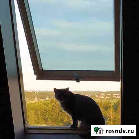 1-комнатная квартира, 47 м², 10/10 эт. в аренду посуточно в Зеленоградске Зеленоградск