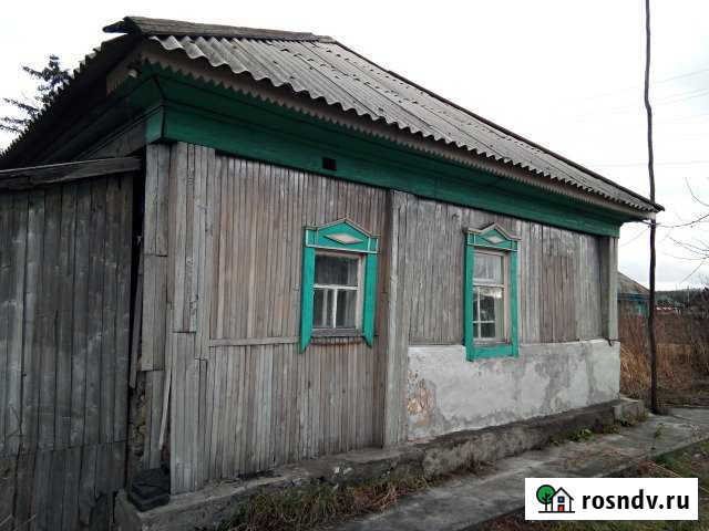 Дом 61 м² на участке 65 сот. на продажу в Линево Новосибирской области Линево - изображение 1