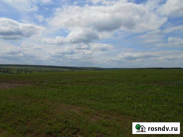 Участок СНТ, ДНП 2100 сот. на продажу в Ржаксе Ржакса - изображение 1