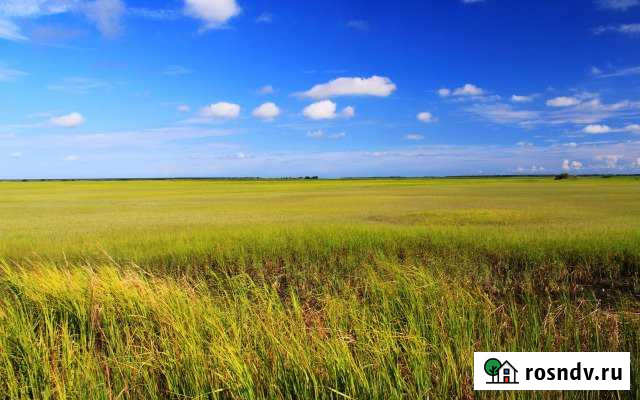 Участок СНТ, ДНП 2140 сот. на продажу в Поворино Поворино - изображение 1