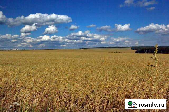 Участок промназначения 50 сот. на продажу в Нальчике Нальчик - изображение 1