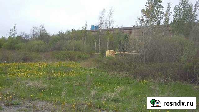 Участок СНТ, ДНП 243 сот. на продажу в Кондратово Кондратово - изображение 1