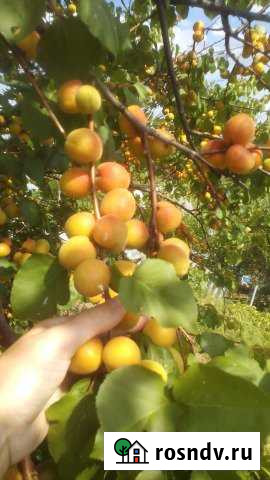 Участок ИЖС 14 сот. на продажу в Ржеве Ржев - изображение 1