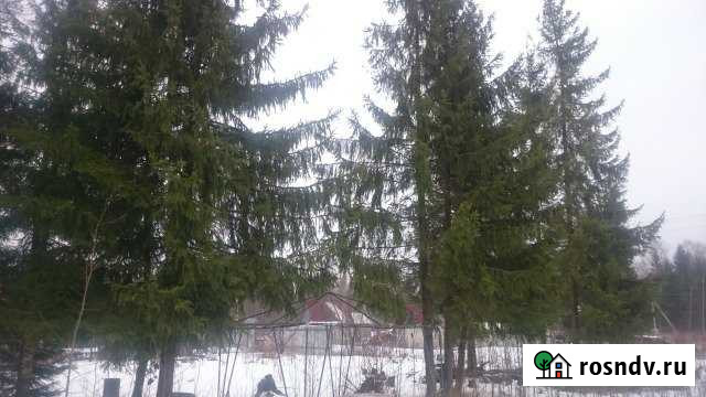 Дача 30 м² на участке 18 сот. на продажу в Киришах Кириши - изображение 1