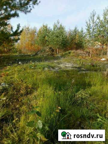 Участок СНТ, ДНП 8 сот. на продажу в Шлиссельбурге Шлиссельбург - изображение 1