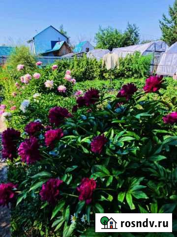 Дача 25 м² на участке 7 сот. на продажу в Пыть-Яхе Пыть-Ях - изображение 1