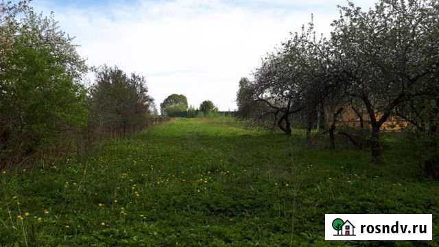 Участок СНТ, ДНП 20 сот. на продажу на Лугах Луга - изображение 1