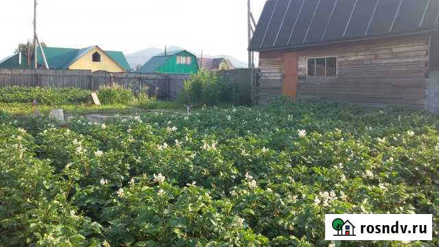 Участок ИЖС 11 сот. на продажу в Елизово Елизово - изображение 1