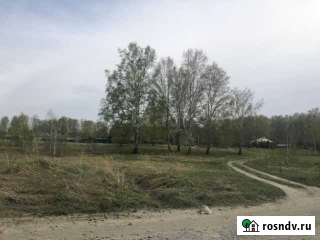 Участок ИЖС 21 сот. на продажу в Кольцово Кольцово - изображение 1