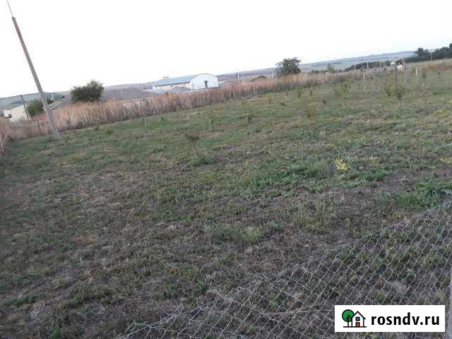 Участок СНТ, ДНП 14 сот. на продажу в Виноградном Виноградный - изображение 1