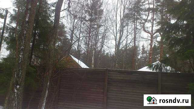 Дом 75 м² на участке 10 сот. в аренду на длительный срок в Сосново Сосново - изображение 1