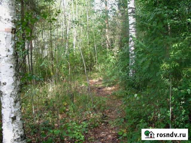 Участок СНТ, ДНП 11 сот. на продажу в Сиверском Сиверский - изображение 1