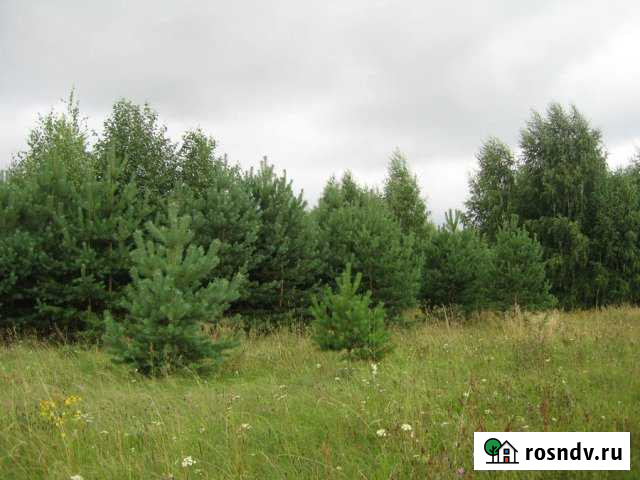 Участок ИЖС 36 сот. на продажу в Пролетарии Пролетарий - изображение 1