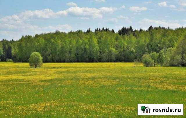 Участок СНТ, ДНП 750 сот. на продажу в Сосновском Сосновское - изображение 1