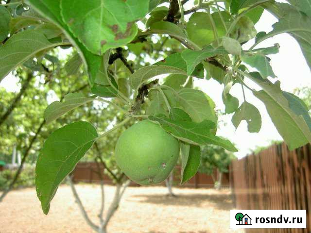 Участок СНТ, ДНП 4 сот. на продажу в Климовске Климовск - изображение 1