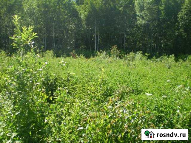 Участок СНТ, ДНП 8 сот. на продажу в Березовском Свердловской области Березовский - изображение 1