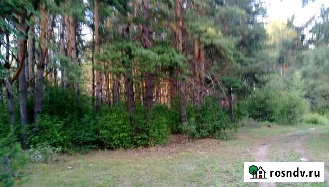 Участок СНТ, ДНП 8 сот. на продажу в Пензе Пенза - изображение 1