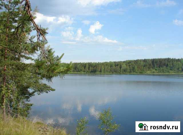 Участок СНТ, ДНП 1380 сот. на продажу в Кузнечном Кузнечное - изображение 1