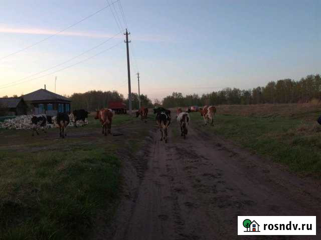 Дом 60 м² на участке 28 сот. на продажу в Глядянском Глядянское - изображение 1