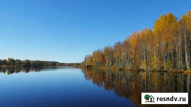 Участок СНТ, ДНП 10 сот. на продажу в Сосново Сосново - изображение 1