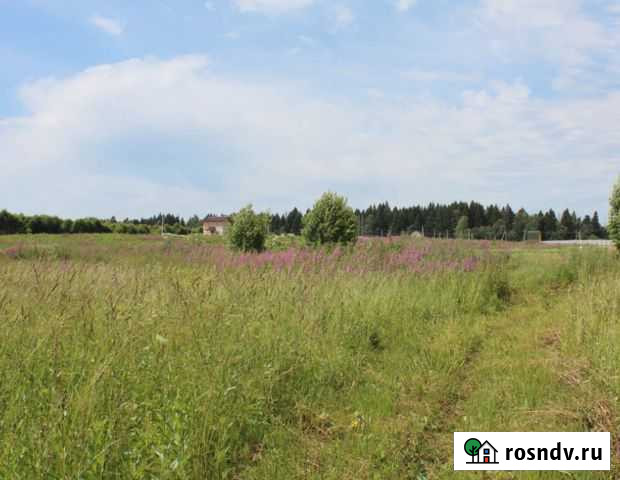 Участок СНТ, ДНП 6 сот. на продажу в Истре Истра - изображение 1