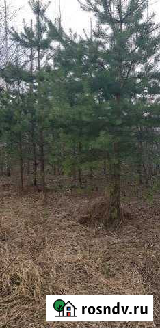 Участок ИЖС 10 сот. на продажу в Кратово Кратово - изображение 1