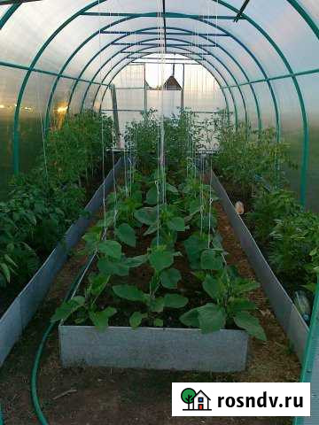 Участок СНТ, ДНП 3 сот. на продажу в Верхней Пышме Верхняя Пышма - изображение 1