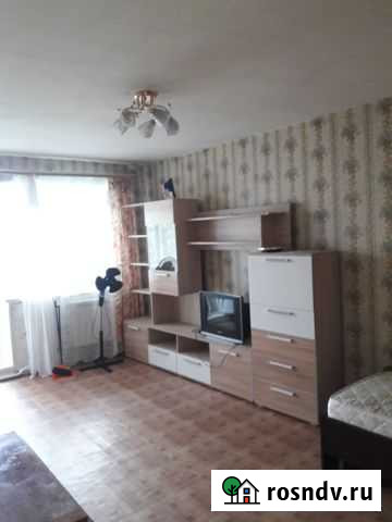 1-комнатная квартира, 30 м², 5/5 эт. на продажу в Озерске Челябинской области Озерск - изображение 1