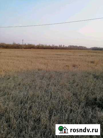 Участок ИЖС 23 сот. на продажу в Борисовке Борисовка - изображение 1