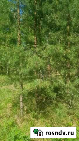 Участок СНТ, ДНП 100 сот. в аренду в Москве Москва - изображение 1