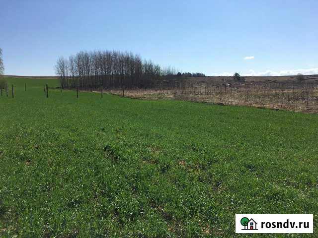 Участок ИЖС 12 сот. на продажу в Кудымкаре Кудымкар - изображение 1