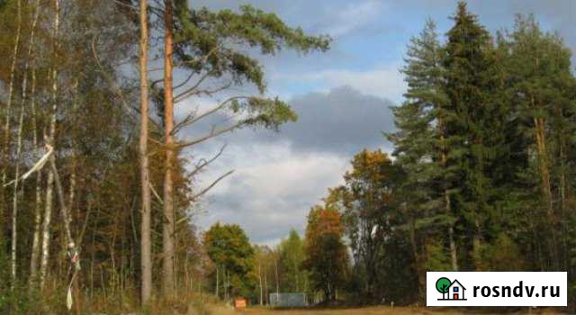 Участок СНТ, ДНП 11 сот. на продажу в Сертолово Сертолово - изображение 1