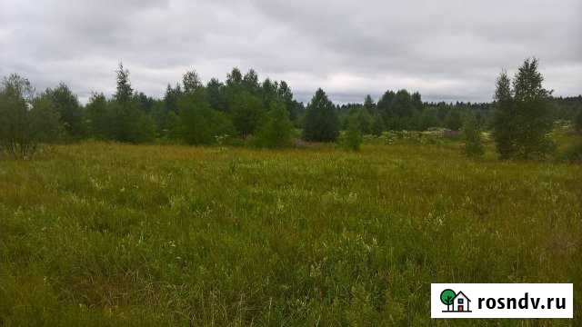 Участок СНТ, ДНП 203 сот. на продажу в Рузе Руза - изображение 1