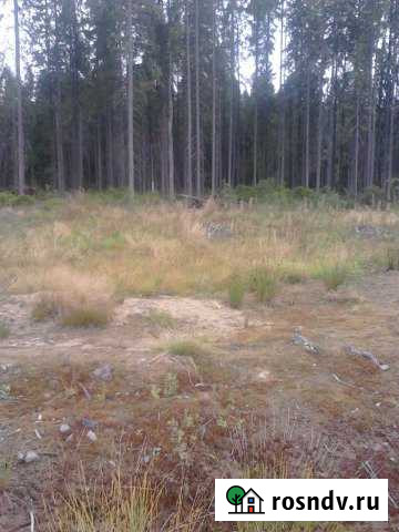 Участок СНТ, ДНП 15 сот. на продажу в Сертолово Сертолово - изображение 1