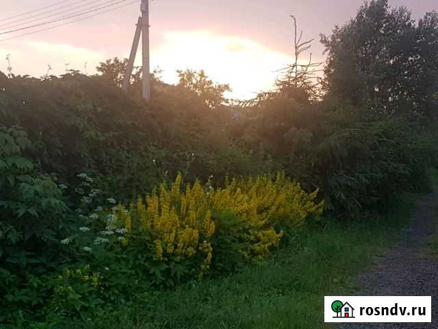 Участок СНТ, ДНП 8 сот. на продажу в Дорохово Дорохово - изображение 1