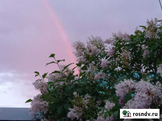 Дом 102 м² на участке 12 сот. на продажу в Урае Урай - изображение 1