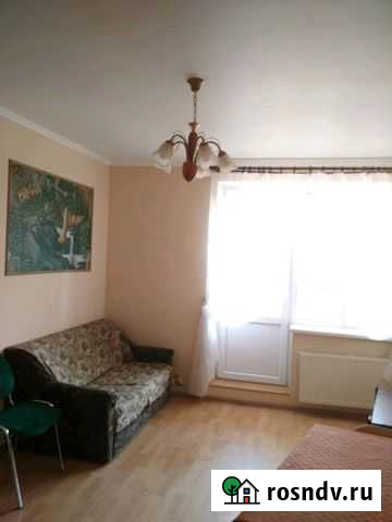 1-комнатная квартира, 45 м², 3/5 эт. в аренду на длительный срок во Всеволожске Всеволожск - изображение 1