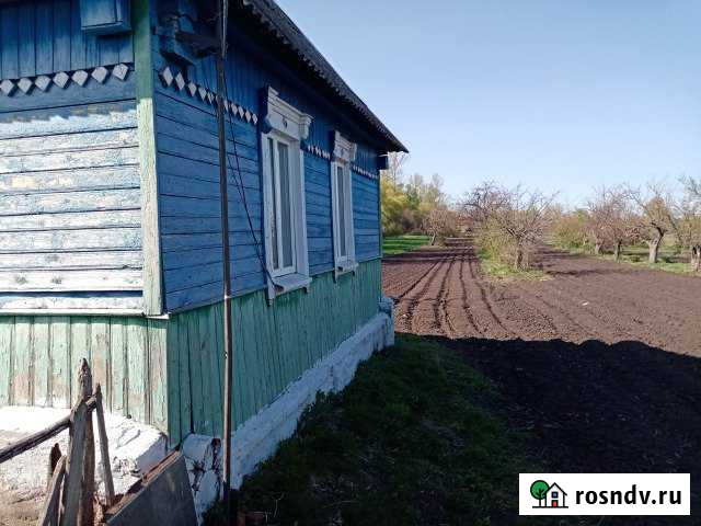 Дом 55 м² на участке 100 сот. на продажу в Золотухино Золотухино - изображение 1